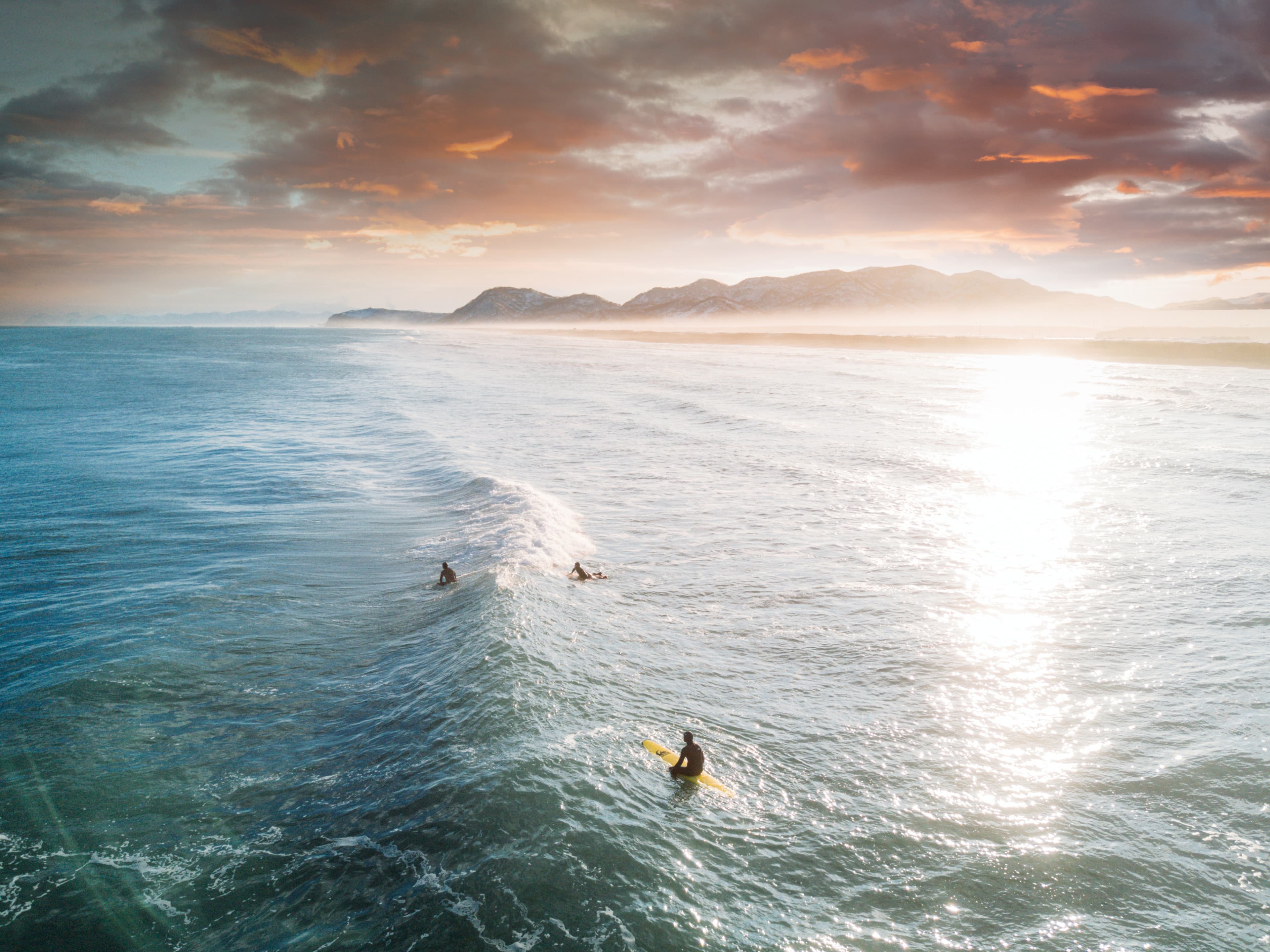 Spot vs. Spot: Find Your Perfect Destination.